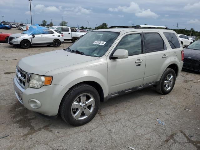 Photo 1 from auction – 2009 FORD ESCAPE LIM with VIN 1FMCU04G49KA42953