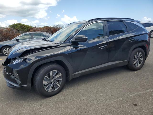 HYUNDAI TUCSON BLU 2024 with VIN KM8JBCD14RU213506 - Photo from auction