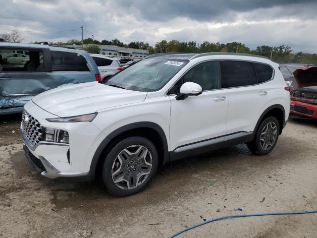 HYUNDAI SANTA FE S 2023 with VIN 5NMS3DA13PH017786 - Photo from auction