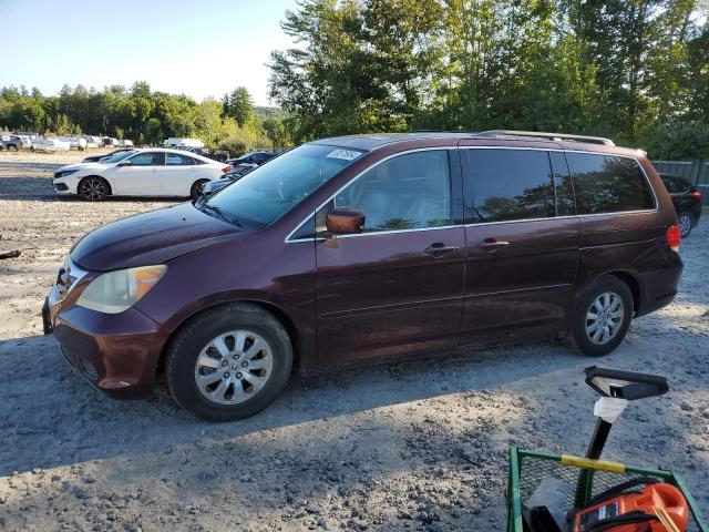 HONDA ODYSSEY EX 2008 with VIN 5FNRL38708B414698 - Photo from auction