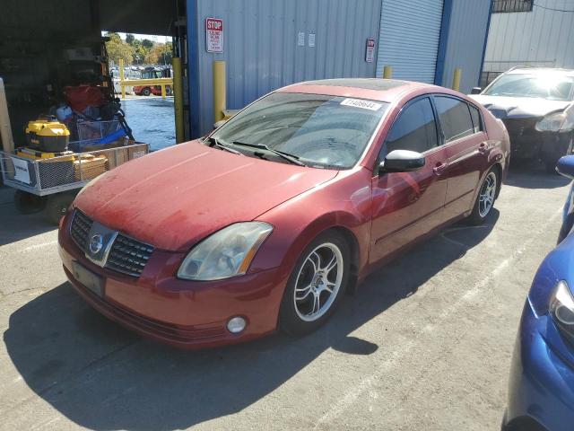 NISSAN MAXIMA SE 2004 with VIN 1N4BA41E14C906997 - Photo from auction