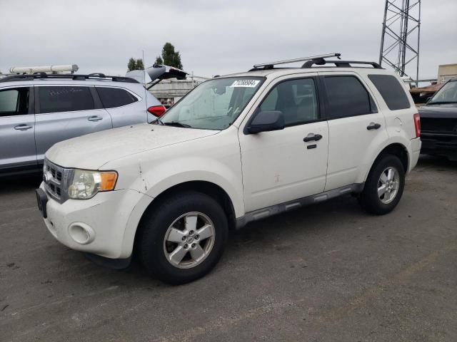FORD ESCAPE XLT 2010 with VIN 1FMCU0DG6AKB61916 - Photo from auction