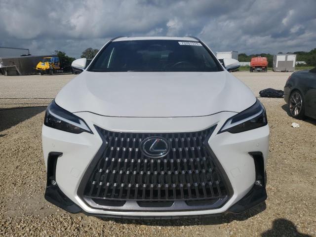 Photo 5 from auction – 2023 LEXUS NX 250 with VIN JTJGDCAZ2P5009827