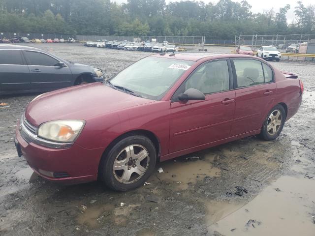Photo 1 from auction – 2005 CHEVROLET MALIBU LT with VIN 1G1ZU54875F198372