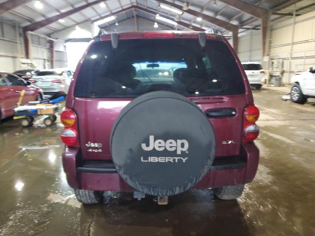 Photo 6 from auction – 2002 JEEP LIBERTY LI with VIN 1J4GL58K22W347624