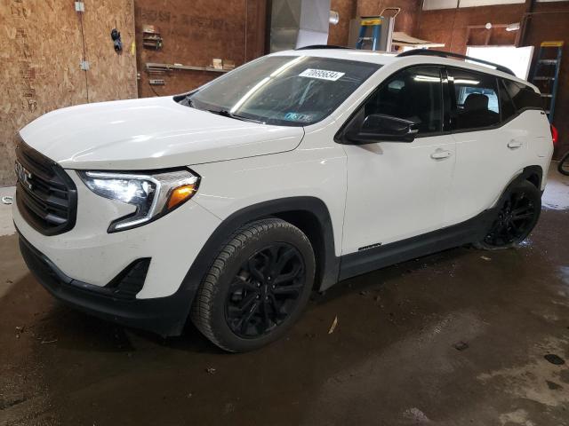 GMC TERRAIN SL 2019 with VIN 3GKALTEV2KL386125 - Photo from auction