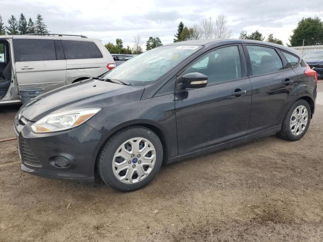 FORD FOCUS SE 2014 with VIN 1FADP3K29EL100591 - Photo from auction