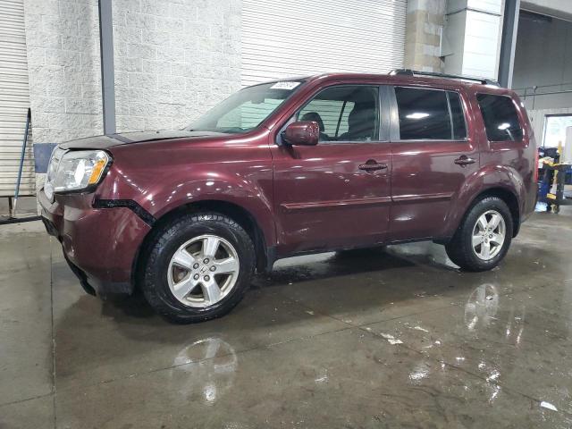 HONDA PILOT EXL 2009 with VIN 5FNYF48699B030498 - Photo from auction