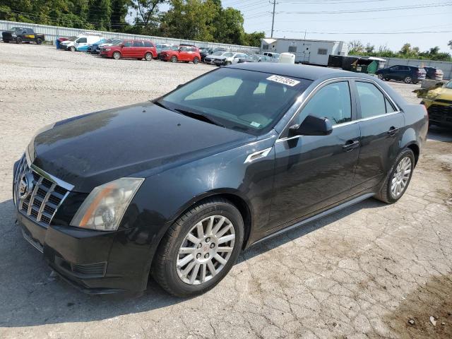 CADILLAC CTS 2013 with VIN 1G6DC5E55C0117431 - Photo from auction