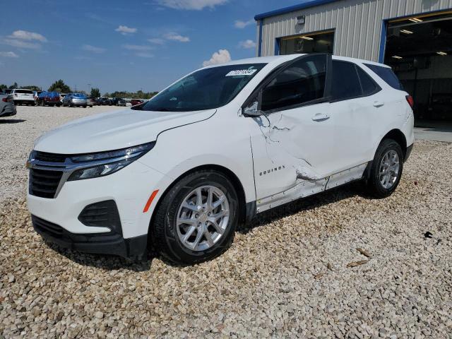 CHEVROLET EQUINOX LS 2023 with VIN 3GNAXSEG2PL219743 - Photo from auction