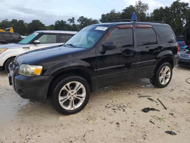 FORD ESCAPE XLT 2007 with VIN 1FMYU03167KB35926 - Photo from auction