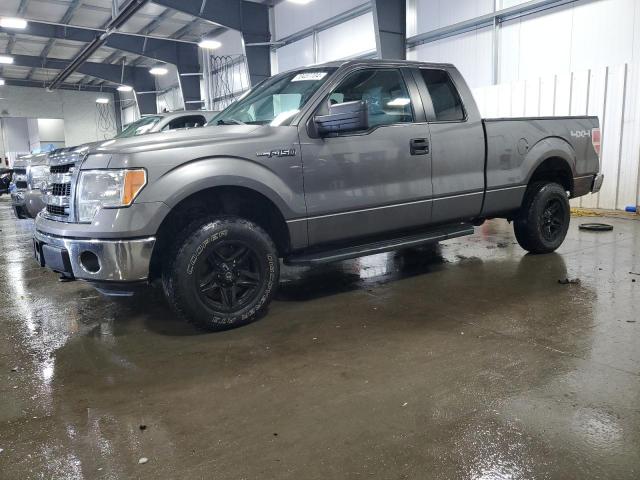 FORD F150 SUPER 2013 with VIN 1FTFX1EF9DFB69817 - Photo from auction