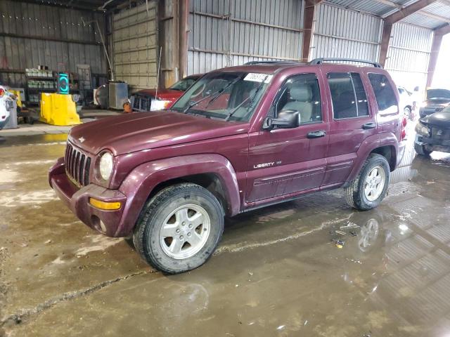 JEEP LIBERTY LI 2002 with VIN 1J4GL58K22W347624 - Photo from auction