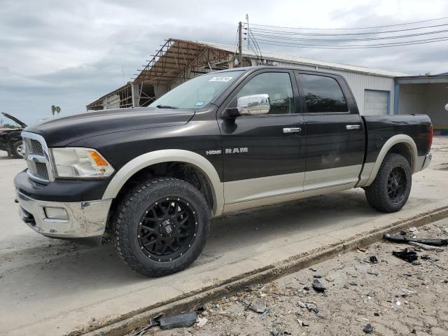DODGE RAM 1500 2009 with VIN 1D3HV13T29J528797 - Photo from auction