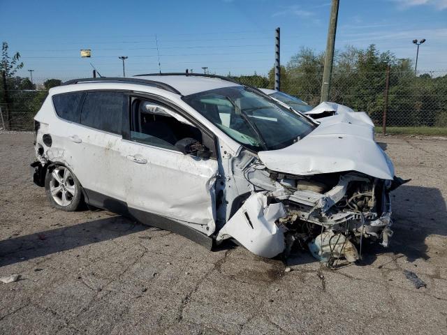 Photo 4 from auction – 2014 FORD ESCAPE SE with VIN 1FMCU9GX9EUE43297