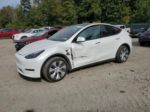 TESLA MODEL Y 2023 with VIN 7SAYGDEE2PF857090 - Photo from auction