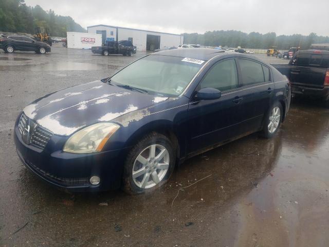 NISSAN MAXIMA SE 2006 with VIN 1N4BA41E66C802914 - Photo from auction