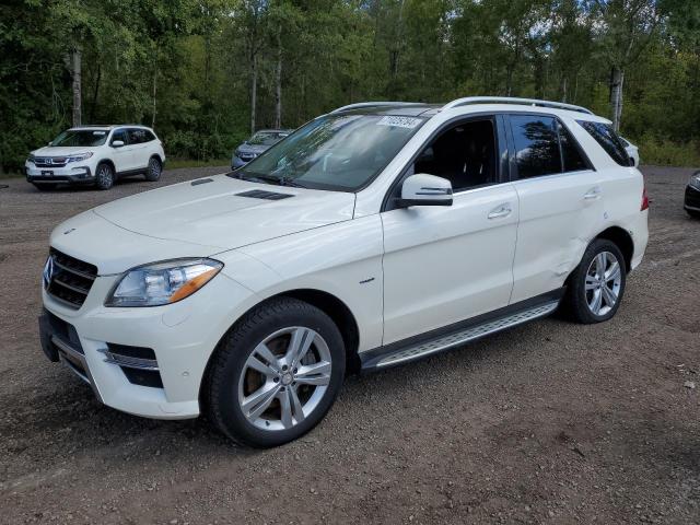 MERCEDES-BENZ ML 350 BLU 2012 with VIN 4JGDA2EBXCA034770 - Photo from auction