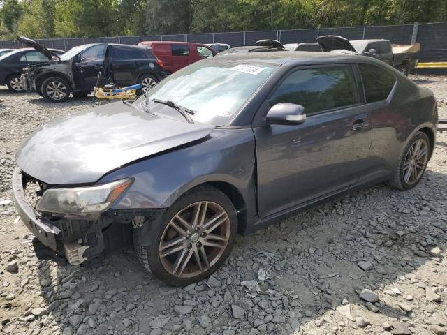 TOYOTA SCION TC 2012 with VIN JTKJF5C75C3024539 - Photo from auction
