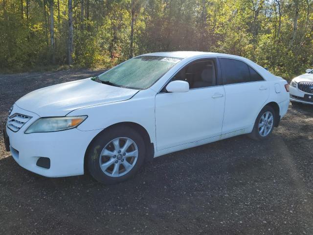 TOYOTA CAMRY BASE 2010 with VIN 4T1BF3EK4AU536720 - Photo from auction