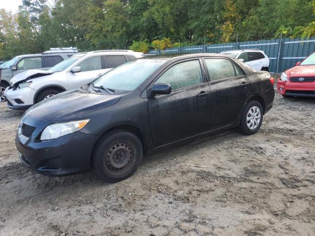 TOYOTA COROLLA BA 2009 with VIN 1NXBU40E19Z008609 - Photo from auction