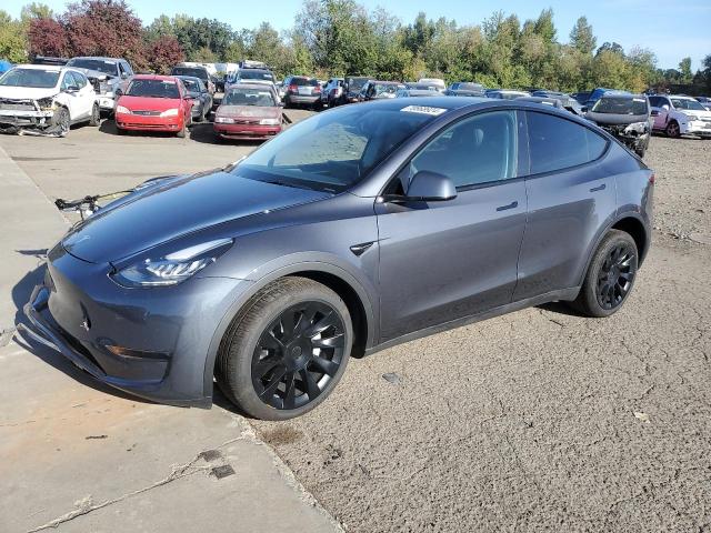 TESLA MODEL Y 2023 with VIN 7SAYGDEE6PA119497 - Photo from auction