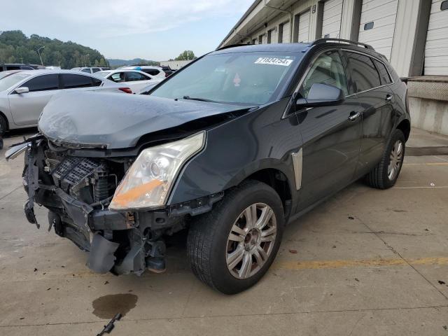 CADILLAC SRX 2015 with VIN 3GYFNAE38FS529065 - Photo from auction