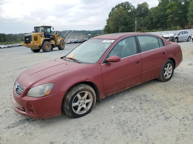 NISSAN ALTIMA S 2005 with VIN 1N4AL11D15C291042 - Photo from auction