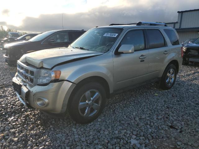 FORD ESCAPE LIM 2011 with VIN 1FMCU0EG1BKA56779 - Photo from auction