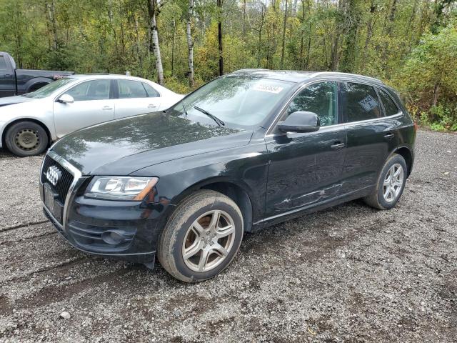 AUDI Q5 PREMIUM 2010 مع رقم تعريف المركبة WA1CKCFP2AA007583 - صورة من المزاد