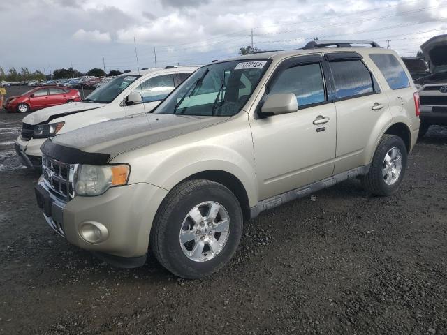 FORD ESCAPE LIM 2010 with VIN 1FMCU9EG7AKB89551 - Photo from auction