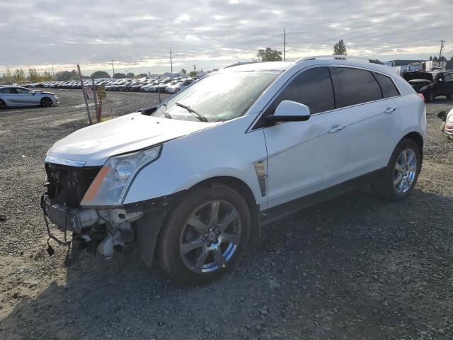 CADILLAC SRX PERFOR 2012 with VIN 3GYFNBE37CS543363 - Photo from auction