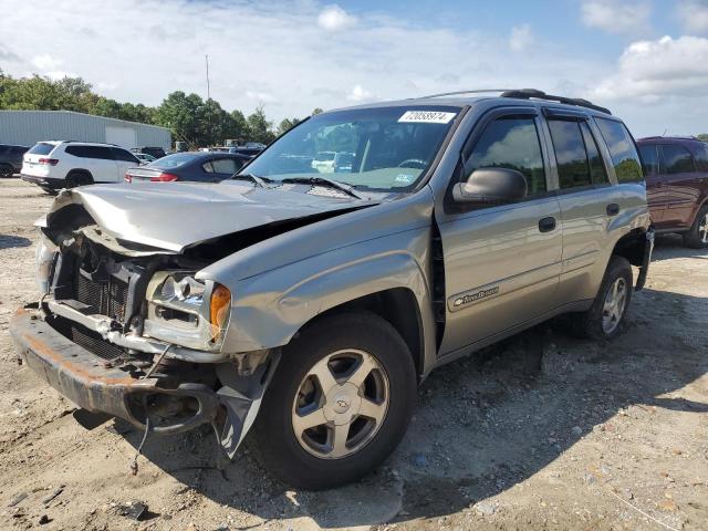 CHEVROLET TRAILBLAZE 2003 with VIN 1GNDS13S632264600 - Photo from auction