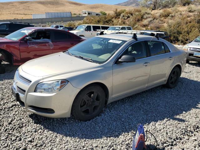 CHEVROLET MALIBU LS 2011 with VIN 1G1ZA5EU0BF338214 - Photo from auction