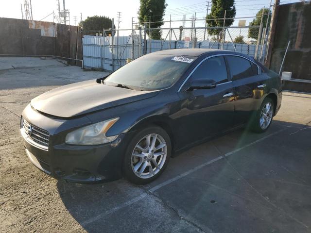 NISSAN MAXIMA S 2009 with VIN 1N4AA51E69C851780 - Photo from auction
