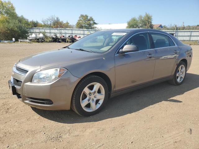 CHEVROLET MALIBU LS 2010 with VIN 1G1ZB5EB4AF272504 - Photo from auction
