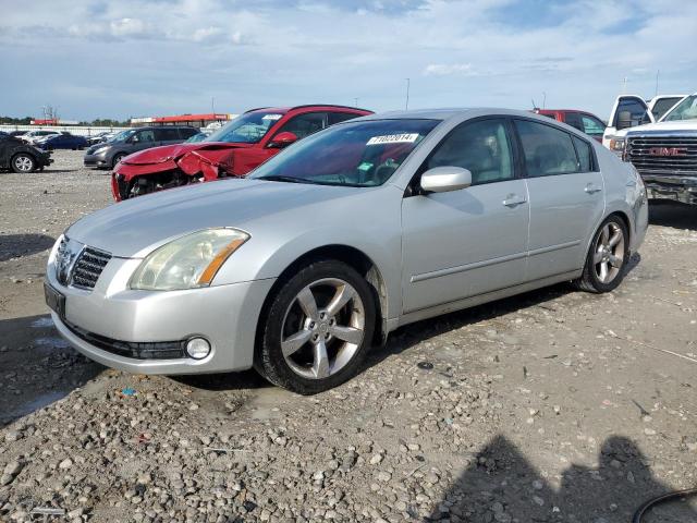 NISSAN MAXIMA SE 2006 with VIN 1N4BA41E96C821327 - Photo from auction