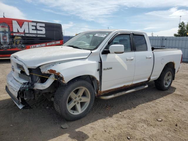 DODGE RAM 1500 2010 with VIN 1D7RV1GT4AS258628 - Photo from auction