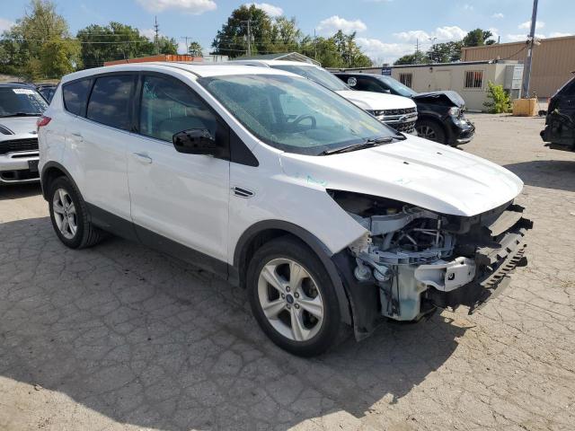 Photo 4 from auction – 2014 FORD ESCAPE SE with VIN 1FMCU0GX9EUB96116