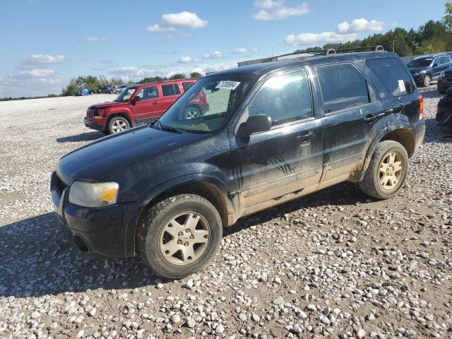 FORD ESCAPE LIM 2006 with VIN 1FMYU04136KC04696 - Photo from auction
