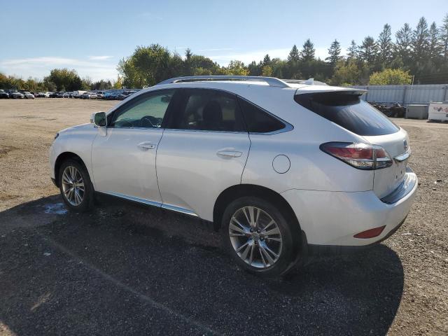 Photo 2 from auction – 2013 LEXUS RX 350 BAS with VIN 2T2BK1BA0DC163589