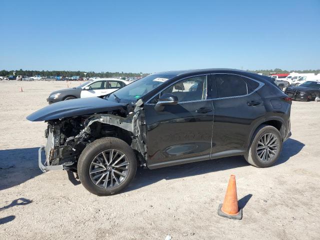 LEXUS NX 250 BAS 2024 with VIN 2T2ADCAZ9RC013724 - Photo from auction