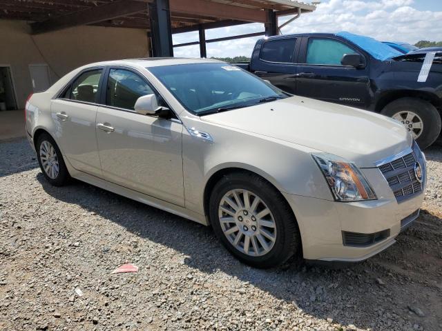 Photo 4 from auction – 2010 CADILLAC CTS LUXURY with VIN 1G6DF5EG6A0120554