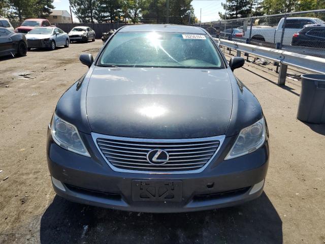 Photo 5 from auction – 2009 LEXUS LS 460 with VIN JTHCL46F895002200