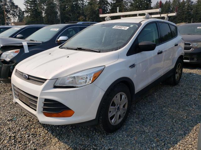 FORD ESCAPE S 2016 with VIN 1FMCU0F70GUC29878 - Photo from auction