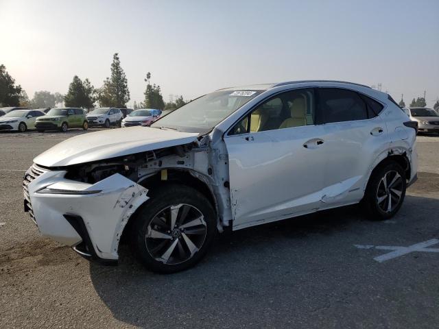 LEXUS NX 300H 2018 with VIN JTJBJRBZ3J2077924 - Photo from auction