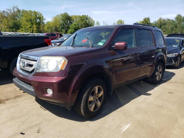 HONDA PILOT EXL 2011 with VIN 5FNYF4H52BB078583 - Photo from auction