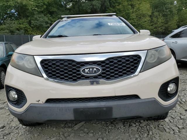 Photo 5 from auction – 2011 KIA SORENTO BA with VIN 5XYKT4A19BG092561