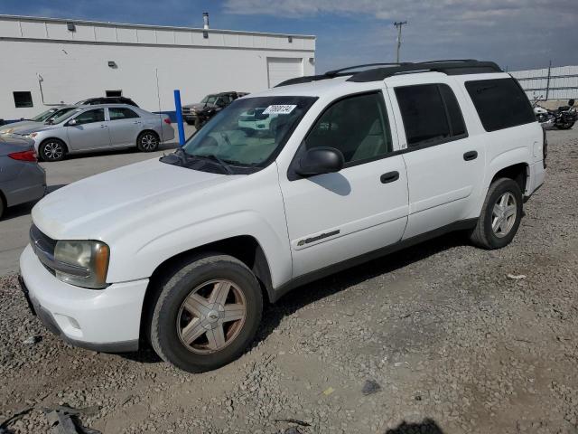 CHEVROLET TRAILBLAZE 2003 with VIN 1GNET16S936185119 - Photo from auction