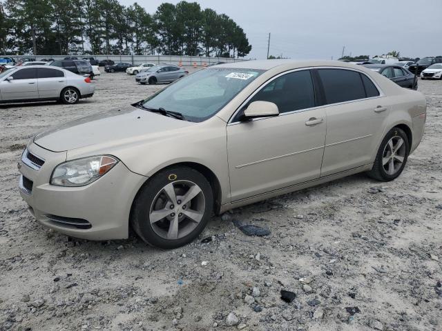 CHEVROLET MALIBU 1LT 2011 with VIN 1G1ZC5EUXBF328493 - Photo from auction